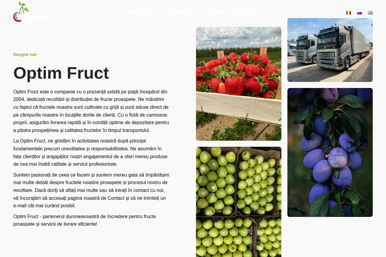 Optim Fruct – screenshot desktop
