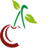 Optimfruct